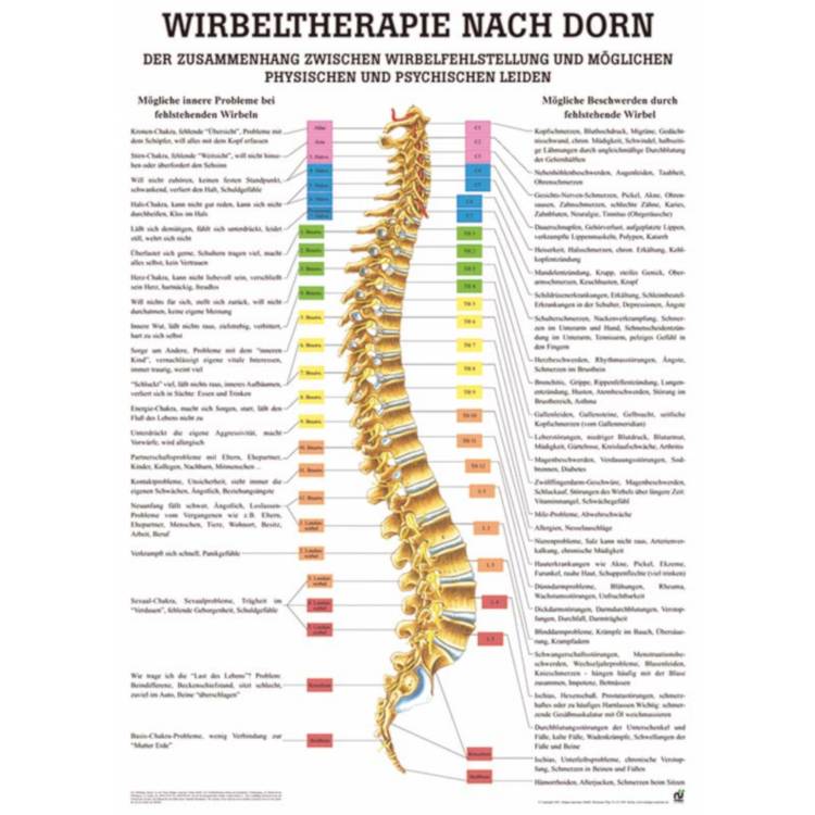 Öffne Miniposter "Wirbeltherapie nach Dorn"