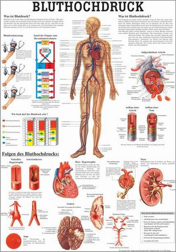 Öffne Poster "Bluthochdruck"