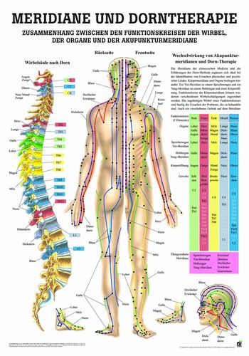 Öffne Miniposter "Wirbeltherapie nach Dorn"