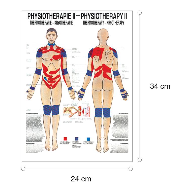 Öffne Mini-Poster "Physiotherapie II-Thermotherapie", unlaminiert